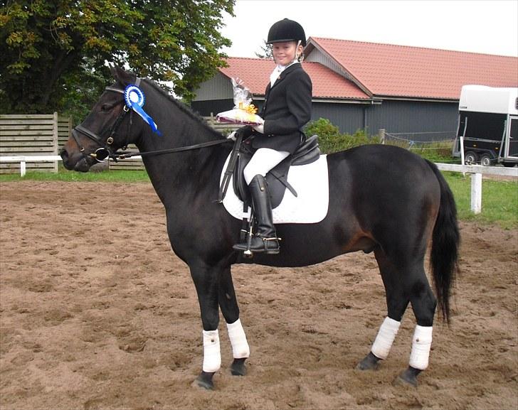 Anden særlig race Bailando (Frede)  - Mig og Frede blev samlet nr. 2 til Nibe Cup 2010 i LC2 og LC3.  billede 14