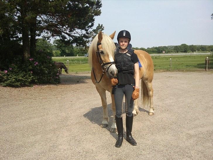 Tyroler Haflinger | Arkibal  - Milla og Arki <3 billede 19