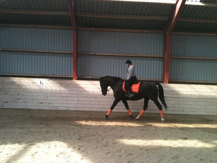 Oldenborg Bell af Vodagergård billede 14