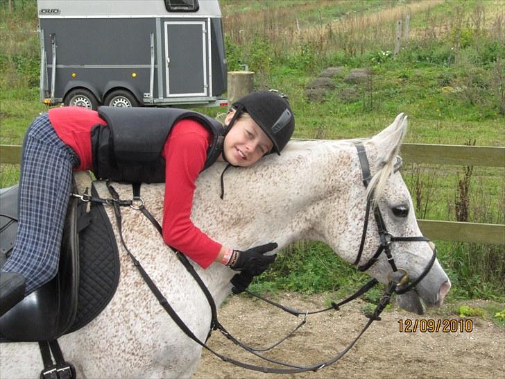 Arabisk fuldblod (OX) [ Isan ] <3 - Du er smilet på mine læber :-*

Fotograf: Mie Busk Vedel billede 5