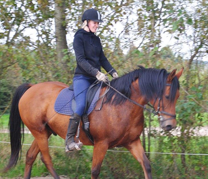 Anden særlig race Rocky - 24.09.2010 billede 8