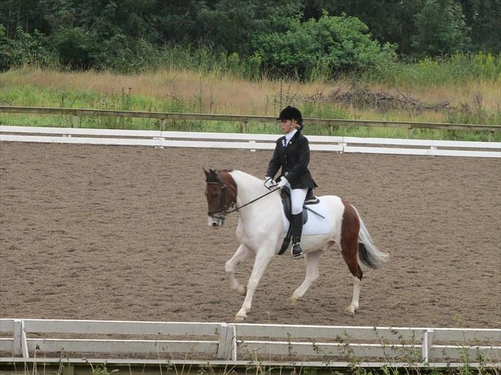 Pinto Moon Star - Første Lc2 :D redet til 65,45% og det blev til en 2. plads:D!! <3 billede 5