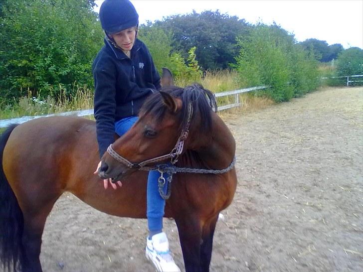 Anden særlig race Fiona - red - Ventede på smed til Comett, så jeg tog Fiona op på banen, og det ende med en ridetur, bidløs. Hun var så sød, og gjorde overhovedet ikke noget af hendes "pjat" som hun plejer :). billede 12