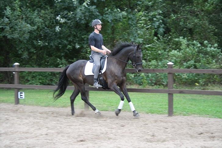 Anden særlig race Anna Alana *byttet væk* billede 7