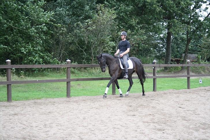 Anden særlig race Anna Alana *byttet væk* billede 8