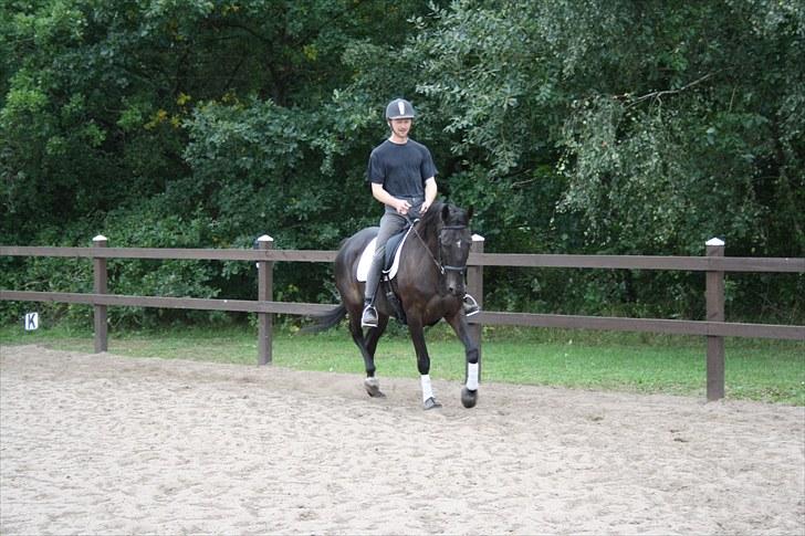 Anden særlig race Anna Alana *byttet væk* billede 9