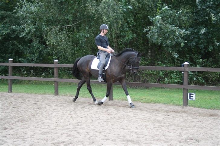 Anden særlig race Anna Alana *byttet væk* billede 10