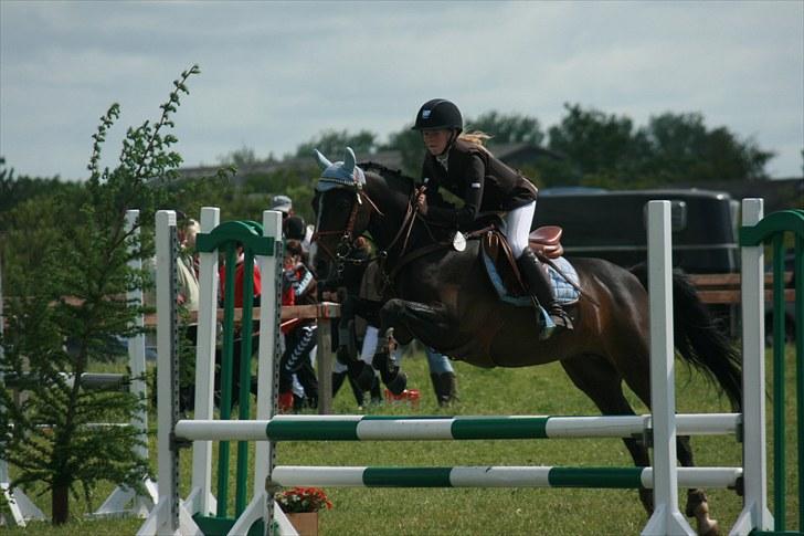 Anden særlig race Angel [B-pony] Solgt billede 17