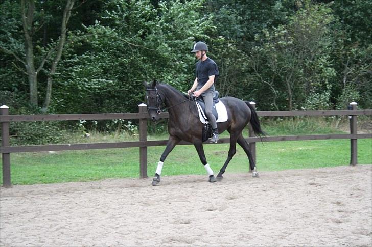 Anden særlig race Anna Alana *byttet væk* billede 11