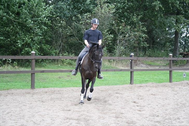 Anden særlig race Anna Alana *byttet væk* billede 12