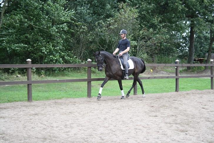 Anden særlig race Anna Alana *byttet væk* billede 13