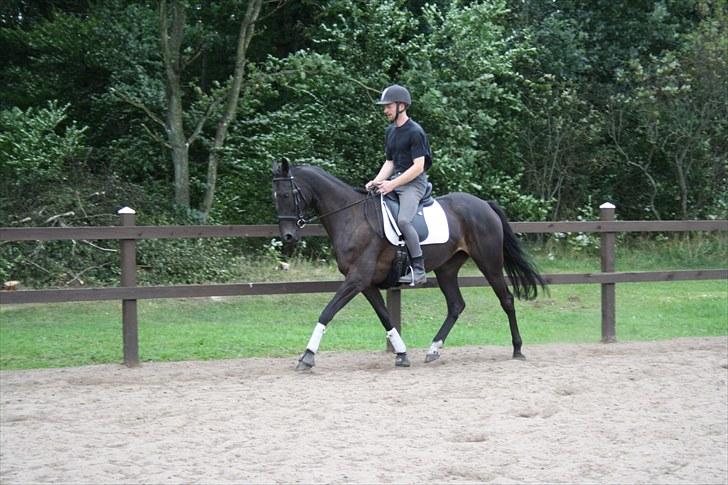 Anden særlig race Anna Alana *byttet væk* billede 14