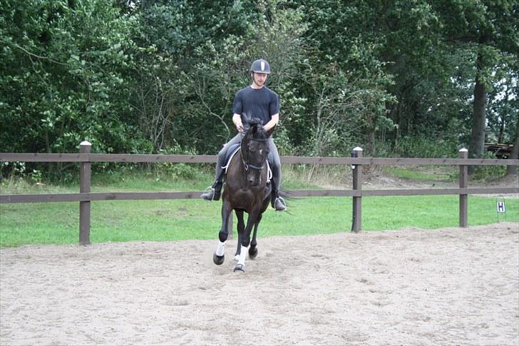 Anden særlig race Anna Alana *byttet væk* billede 15