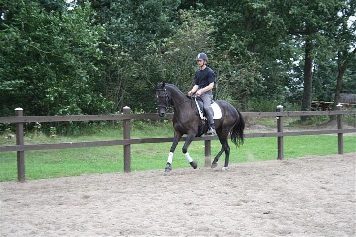 Anden særlig race Anna Alana *byttet væk* billede 16