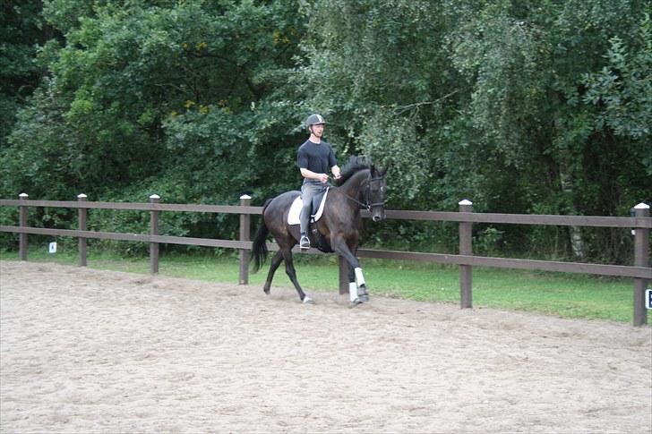 Anden særlig race Anna Alana *byttet væk* billede 17