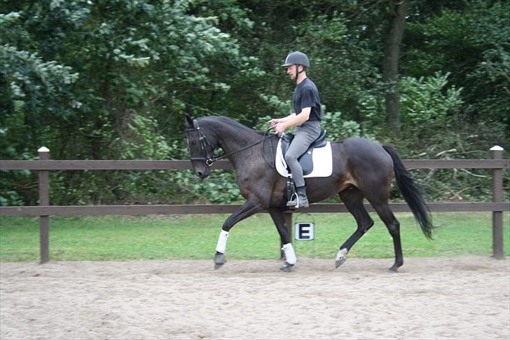 Anden særlig race Anna Alana *byttet væk* billede 18