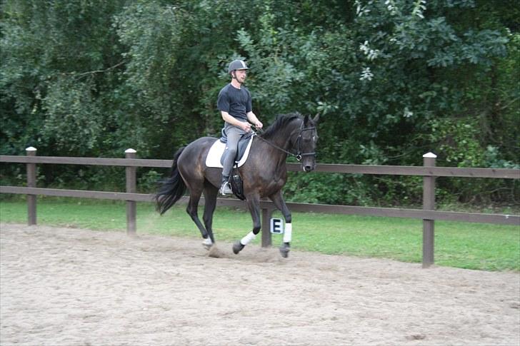 Anden særlig race Anna Alana *byttet væk* billede 19