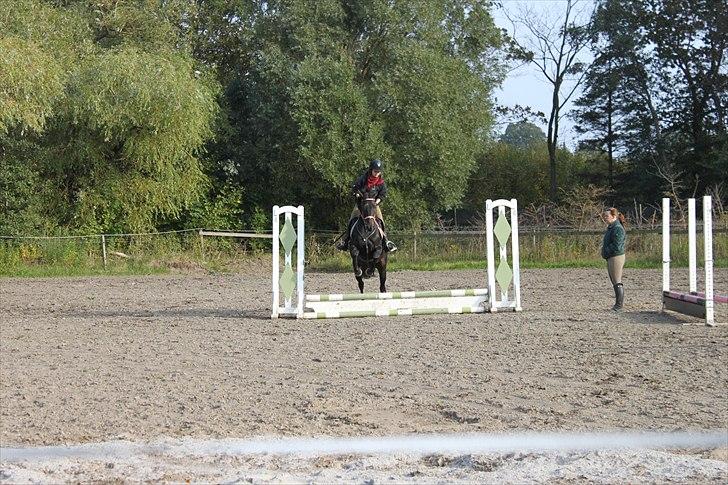Fuldblod (XX) Soya<3 RIP - 4 gang vi springer (: FG: Rasmus billede 9