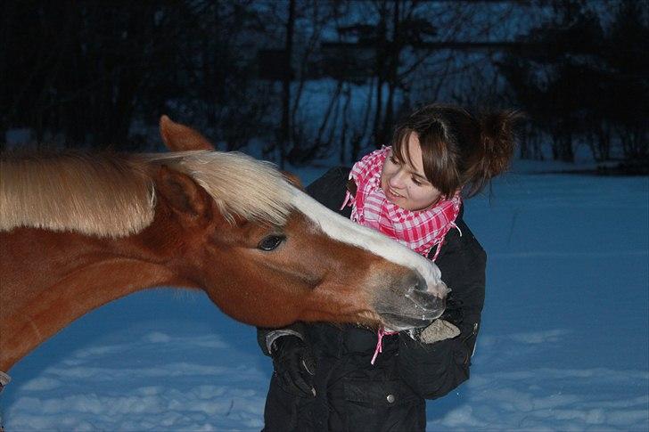 Anden særlig race SAKSKÆRS COMET II - You took my life from negative to positive, I just want you to know that. billede 14