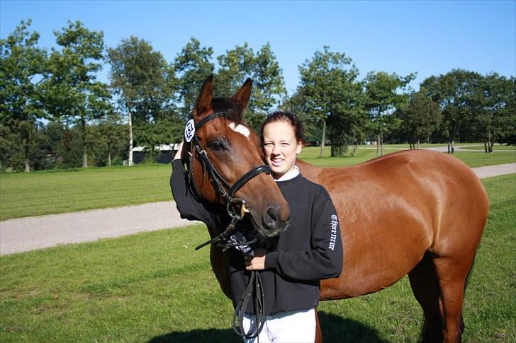 Dansk Varmblod Papaya Ley - Store Hestedag 2010 billede 5