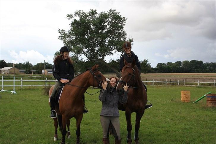 Dansk Varmblod Papaya Ley - Min underviser, Lamse og Papaya:D billede 9