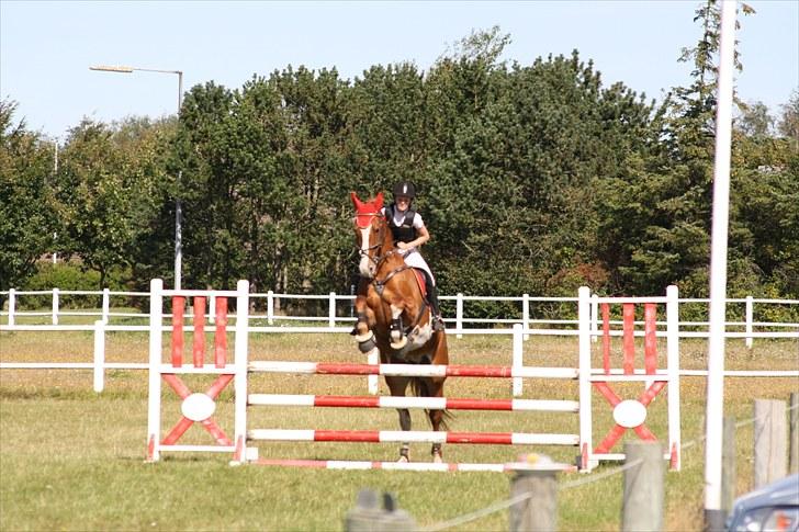 Frederiksborg Humlegårdens Bastian. - stævne 2010 billede 7