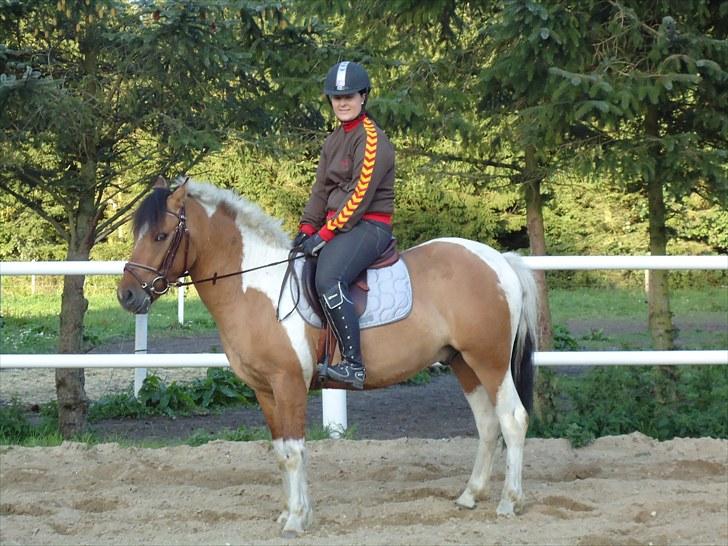 Anden særlig race Topper (SOLGT) - Så er man helt ride tam :) billede 18