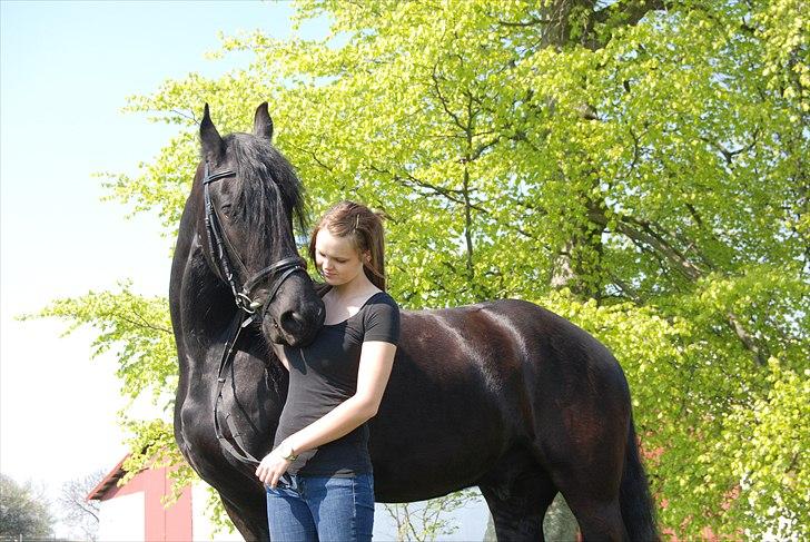 Frieser Jetse Fan Rewert STER billede 1