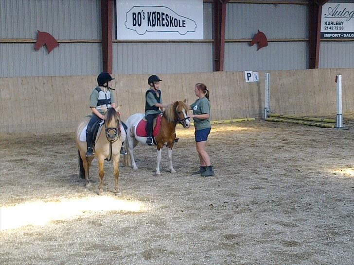 Anden særlig race Lolli - Fejlfri runde - BELS ridelejr 2010 billede 3