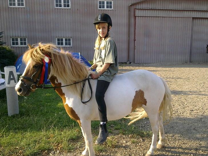 Anden særlig race Lolli - BELS Ridelejr 2010 billede 2