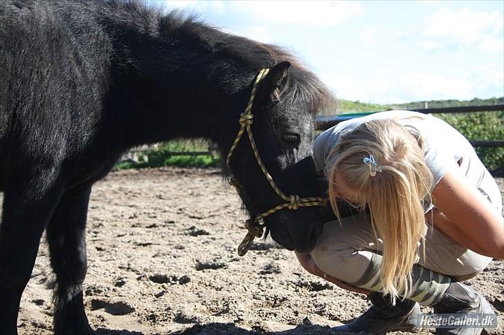 Miniature Blobber - Elsker dig blobber!<3 jeg siger det ikke nok til dig men jeg mener det!<3  Foto: mathilde Rasmussen billede 13