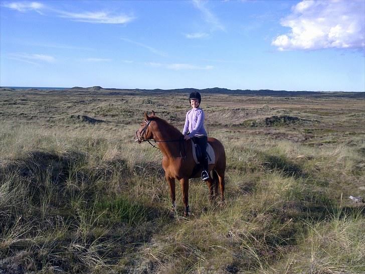 Anden særlig race petit billede 1