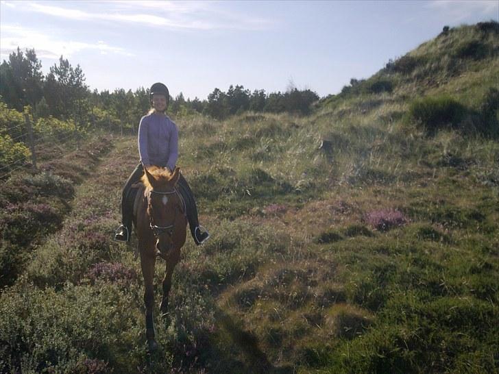 Anden særlig race petit billede 2