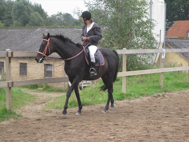 Fuldblod (XX) Soya<3 RIP - Vi varmer op (: billede 15