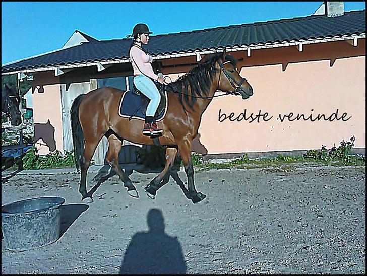 Anden særlig race Pretty Princess SOLGT billede 13