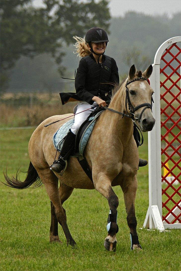 Anden særlig race Chanel - Nr. 19 taget af www.sipo-foto.dk  se en glad vinder pige + hest billede 9