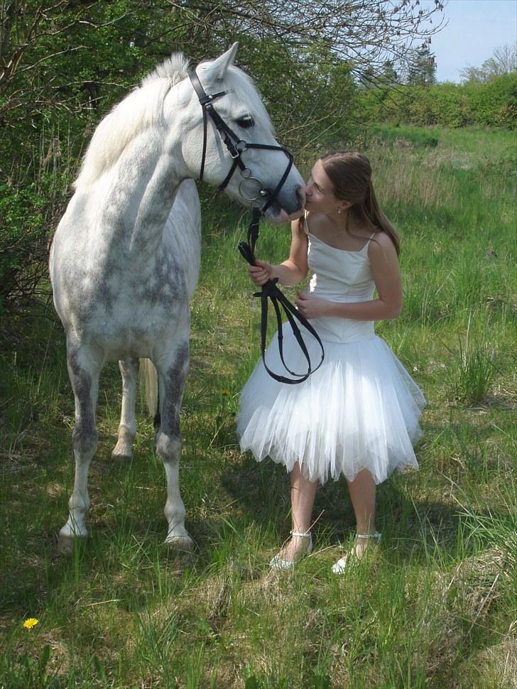 Anden særlig race Fiona *solgt* - Nogen dage efter min konfirmation tog vi hende med til stranden og lege modeller! :D.. Hun var rigtig dygtig til det :) Fotograf: Mor/Far "20" billede 18