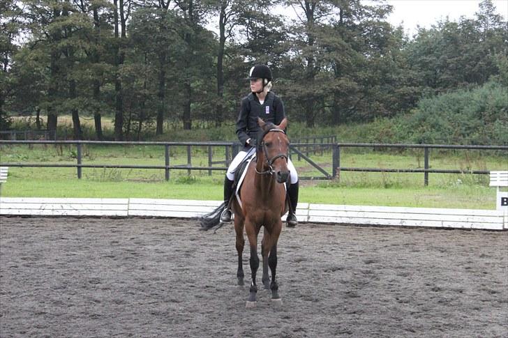 Tysk Sportspony Arking Jump - Stævne på SBR(-; Foto: Mor, d. 12/09/10. billede 2