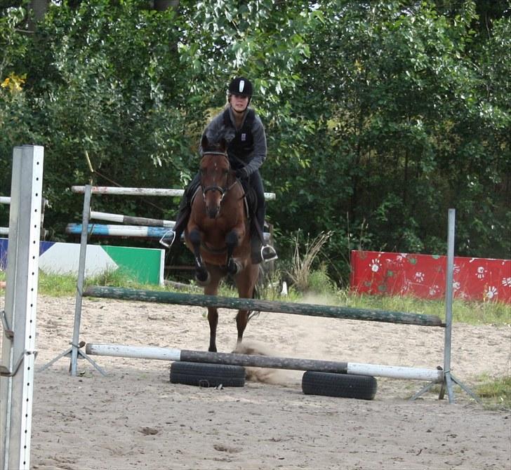 Tysk Sportspony Arking Jump - 2. gang til træning(-; Foto: Camilla, d. 08/09/10. billede 4