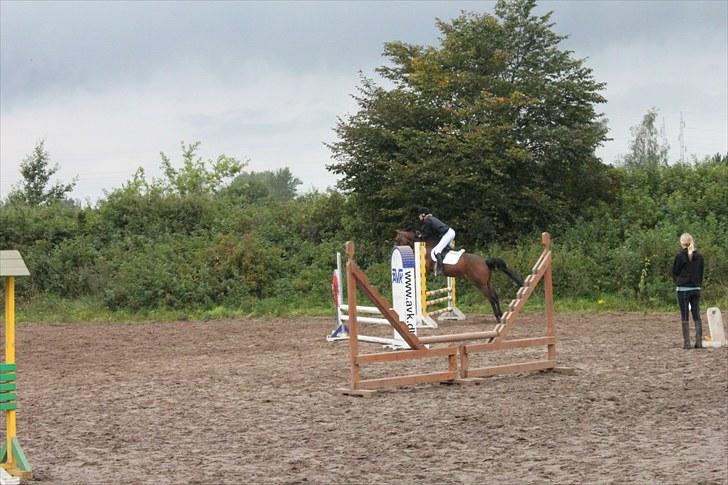 Tysk Sportspony Arking Jump - Mit første springstævne, og hestens første efter pausen.. Foto: Ida, d. 12/09/10. billede 9