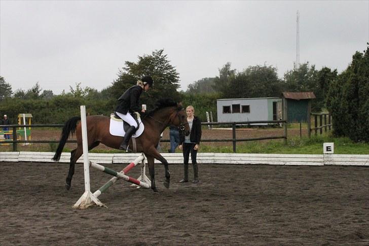 Tysk Sportspony Arking Jump - Jeg sidder underligt?(-; Foto: Mor, d. 12/09/10. billede 11