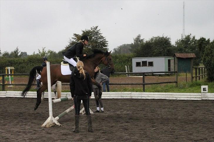 Tysk Sportspony Arking Jump - Opvarmning igen(-; Foto: Mor, d. 12/09/10. billede 12