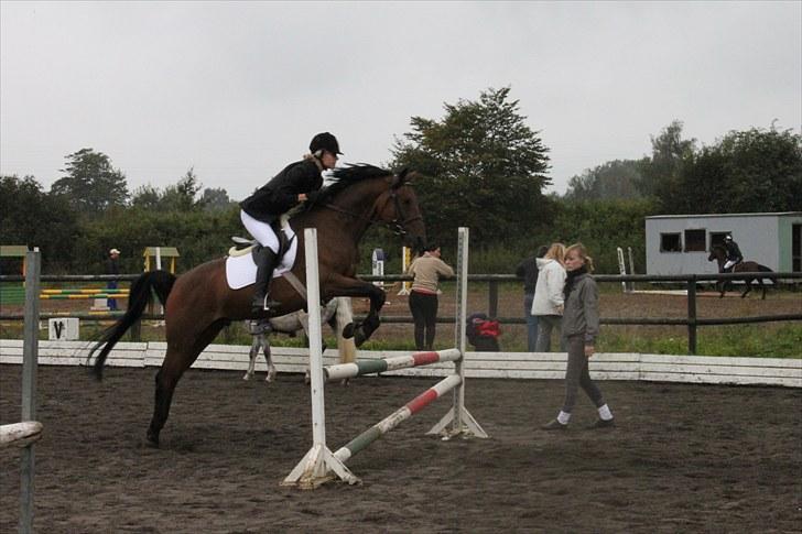 Tysk Sportspony Arking Jump - Aksen i aktion!(-; Foto: Mor, d. 12/09/10. billede 13