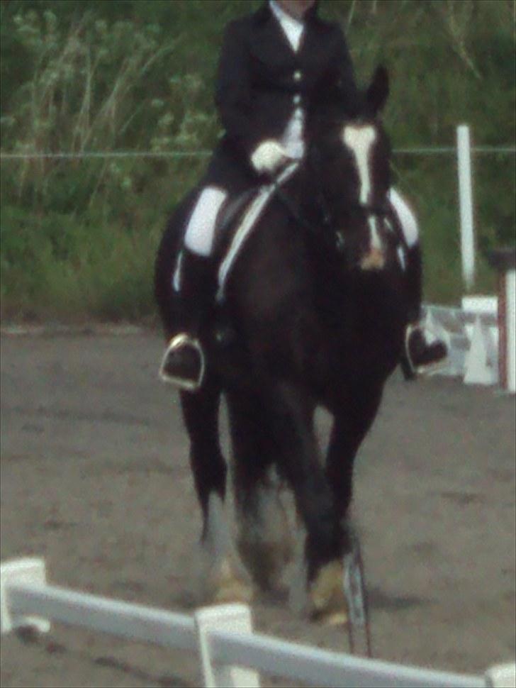 Tinker Albert  billede 11