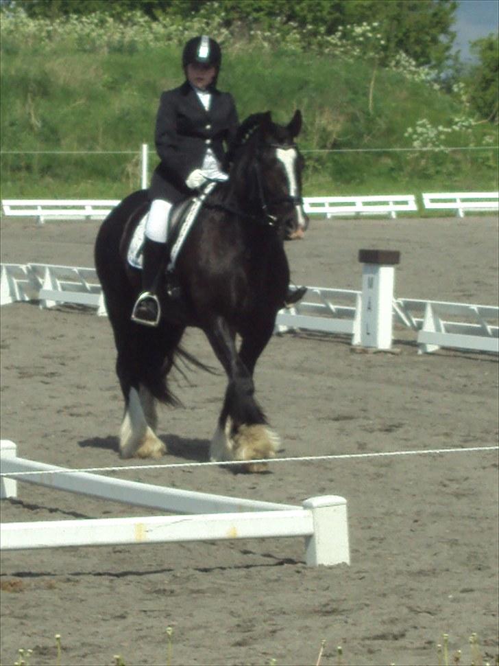 Tinker Albert  billede 12