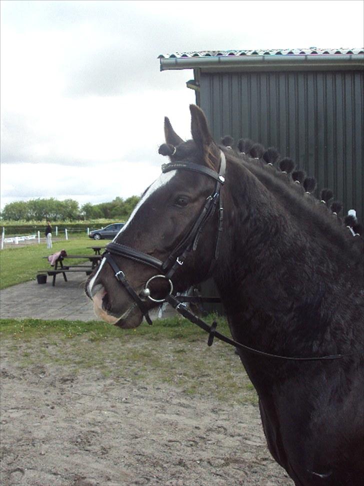 Tinker Albert  billede 13