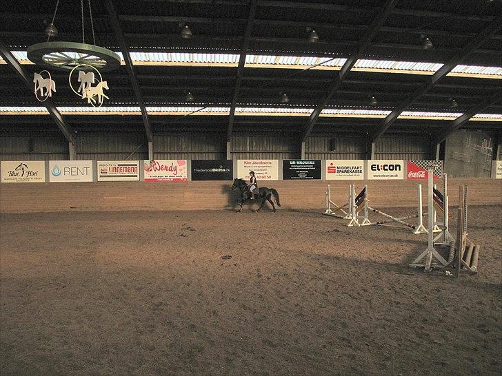 Frieser Sally billede 5