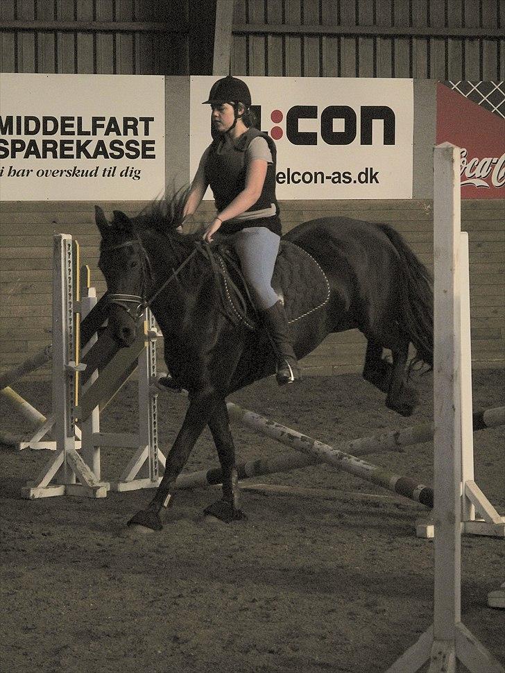 Frieser Sally billede 10