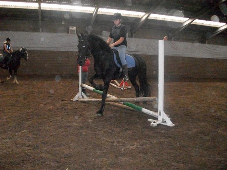 Frieser Sally billede 13