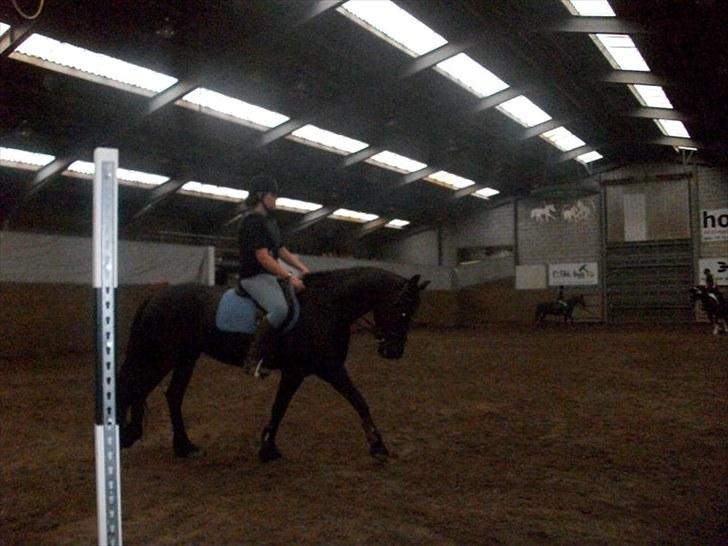 Frieser Sally billede 14